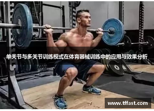 单关节与多关节训练模式在体育器械训练中的应用与效果分析