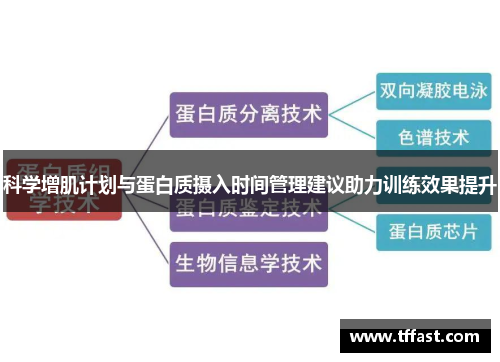 科学增肌计划与蛋白质摄入时间管理建议助力训练效果提升